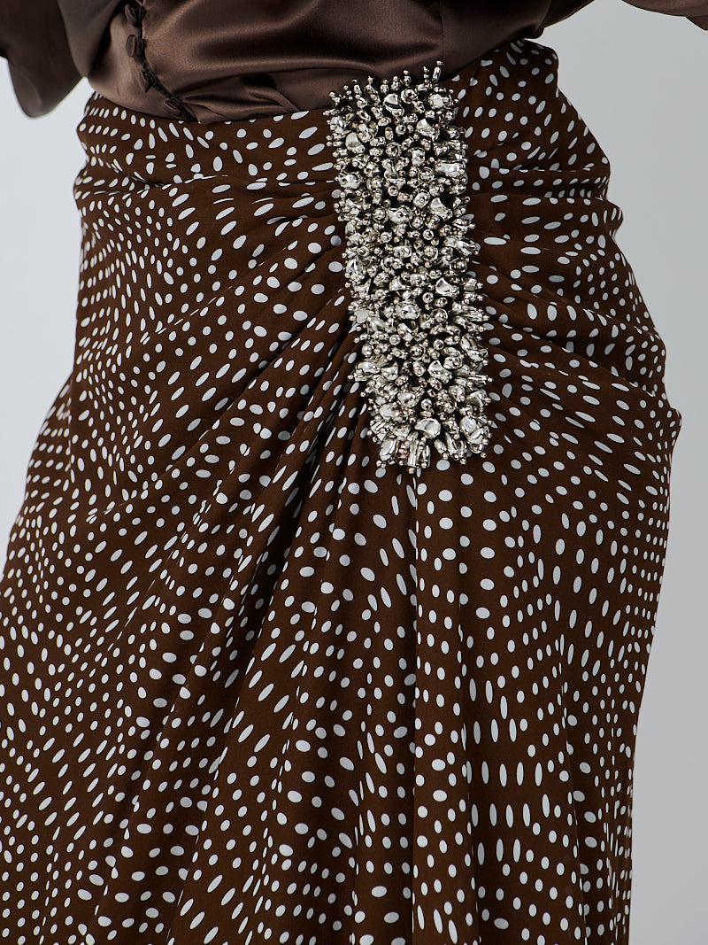Dries Van Noten Sovora Embellished Skirt in Brown