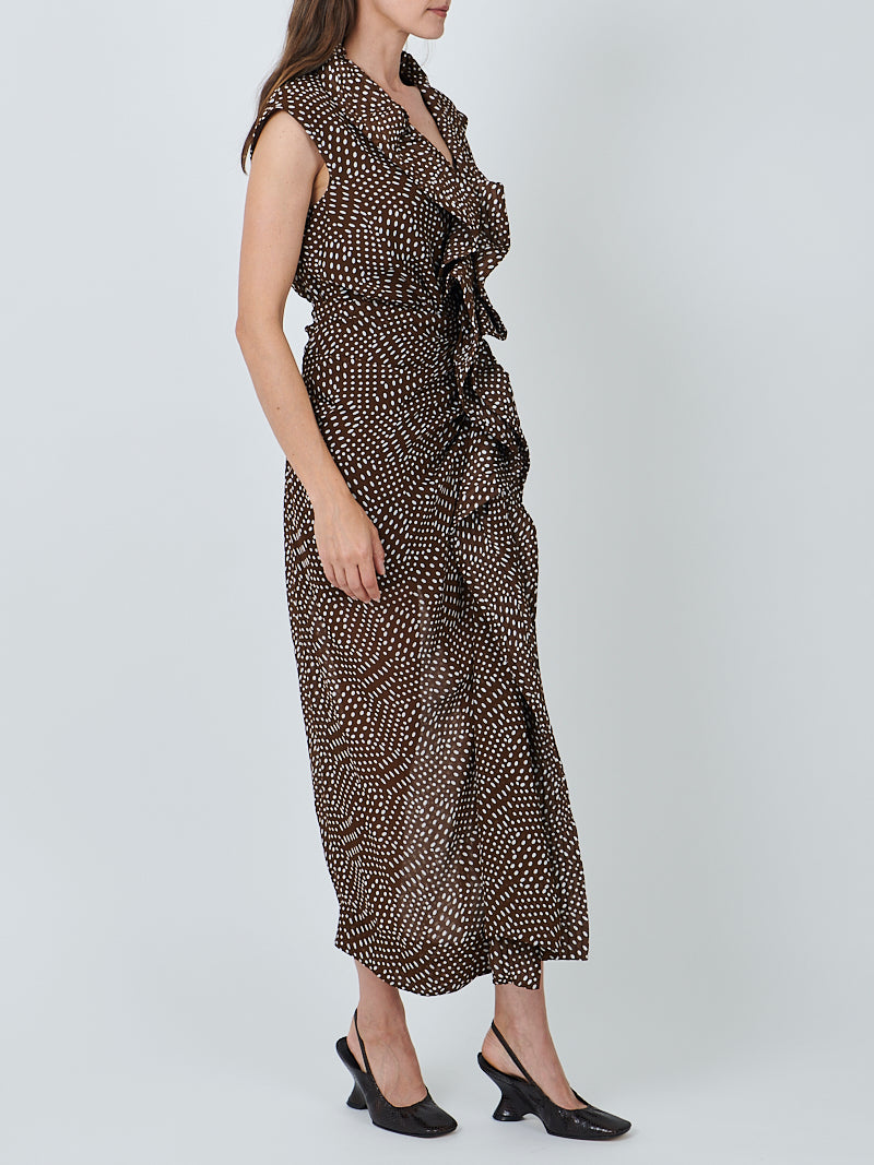 Dries Van Noten Davylo Dress in Brown