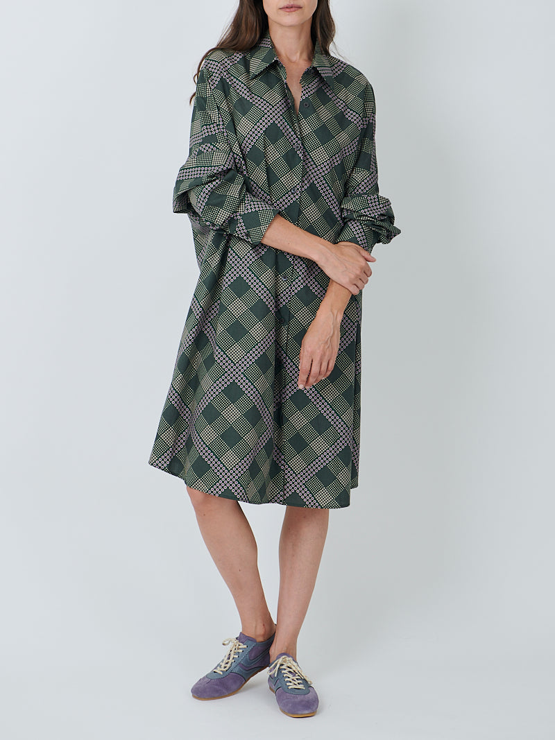 Dries Van Noten Dasia Dress in Bottle