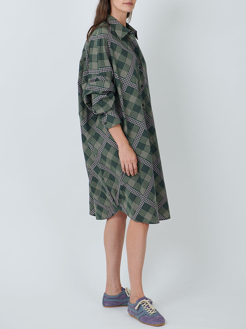 Dries Van Noten Dasia Dress in Bottle