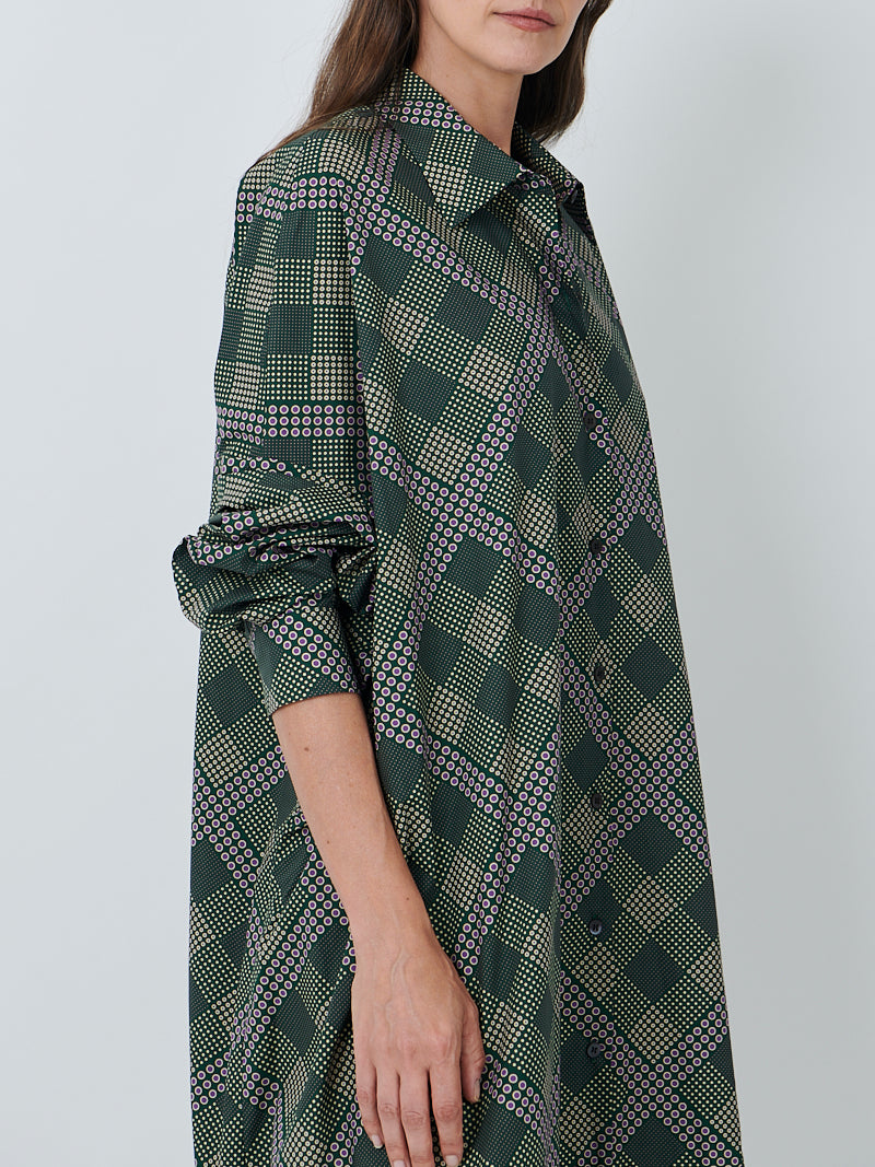 Dries Van Noten Dasia Dress in Bottle