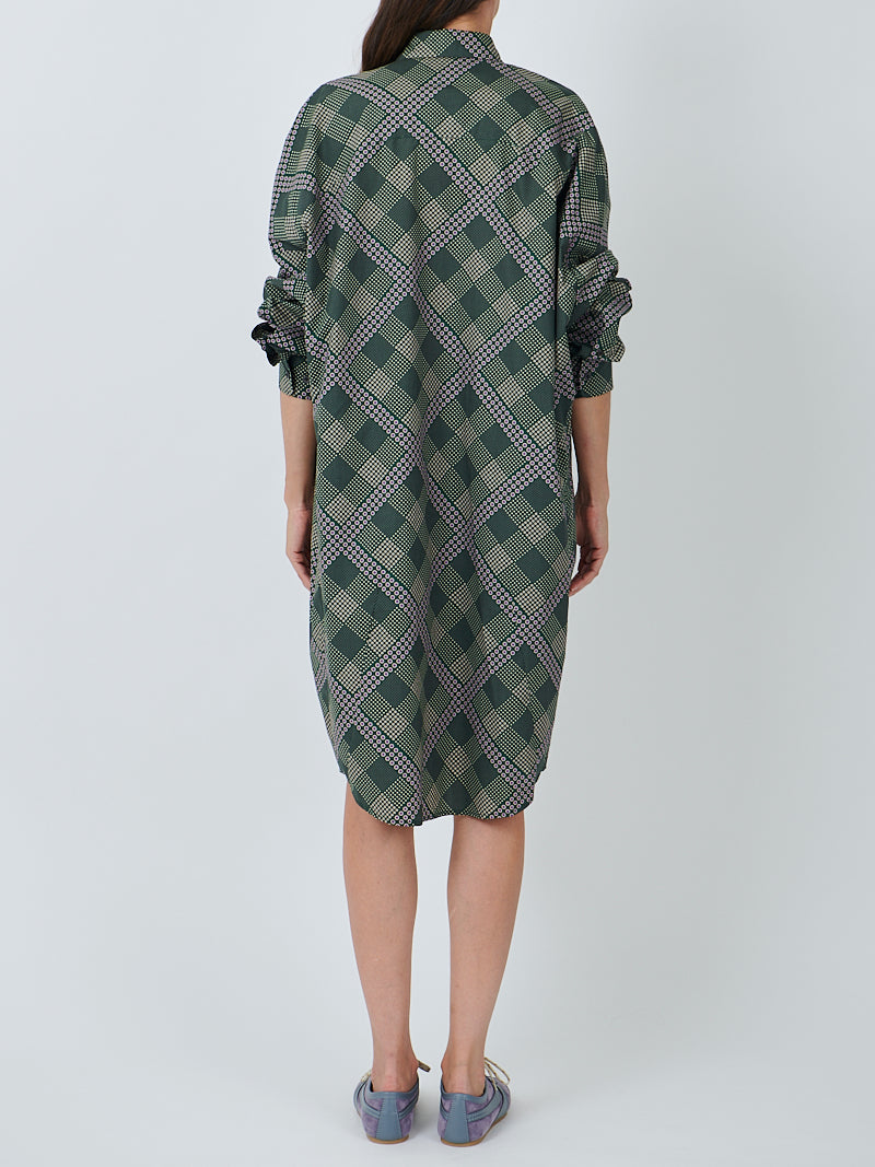 Dasia Dress in Bottle