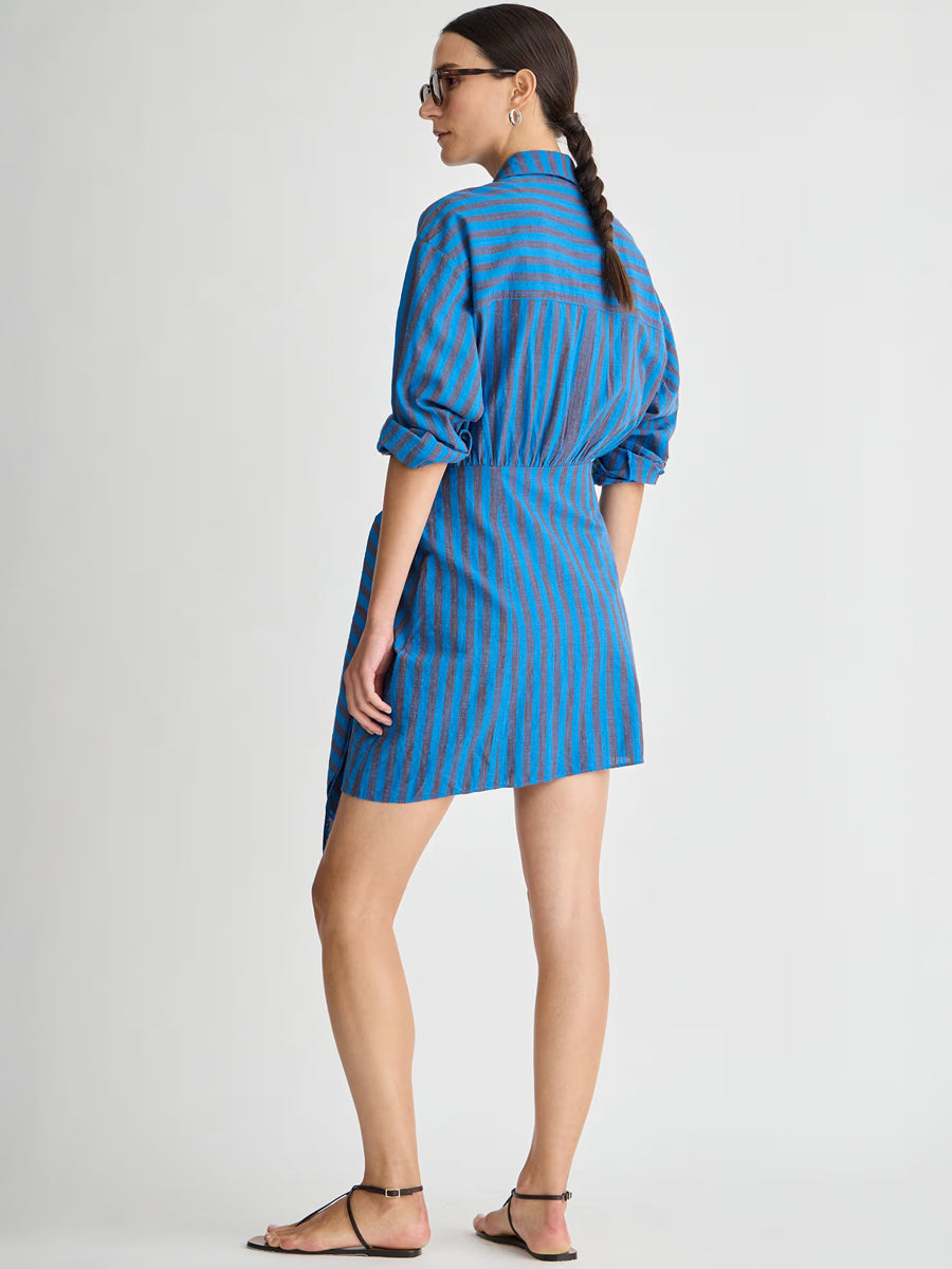Alessandra Mini Dress in Blue Pond Stripe