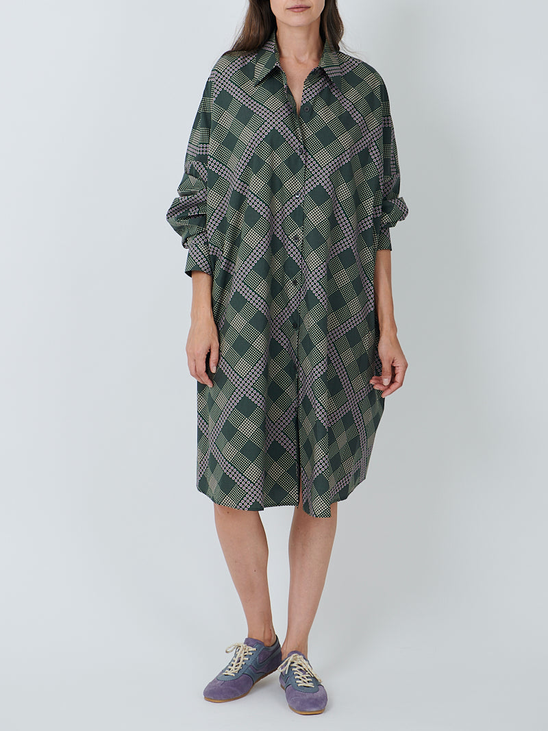 Dries Van Noten Dasia Dress in Bottle
