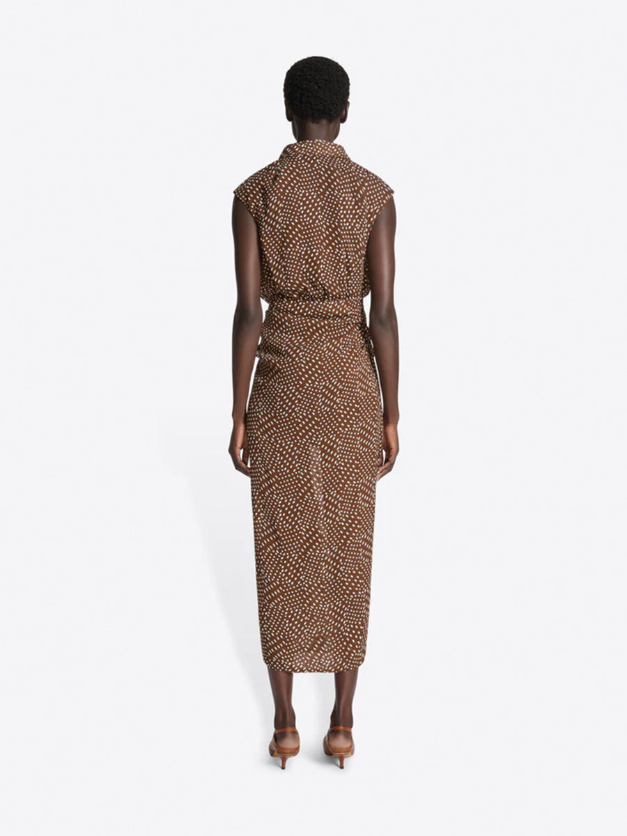 Dries Van Noten Davylo Dress in Brown