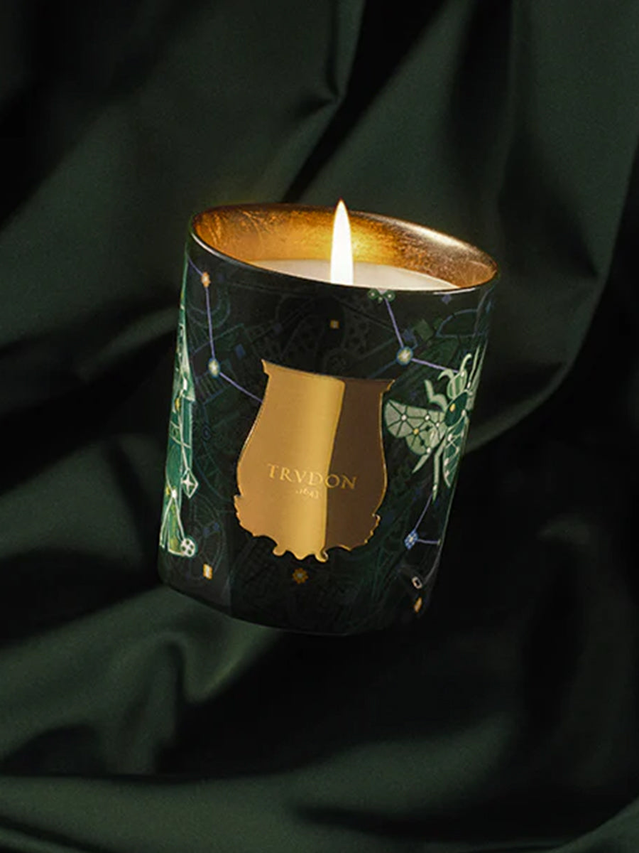 Holiday 2025 Fir 270G