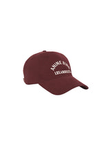Anine Bing Jeremy Baseball Cap In Dark Cherry