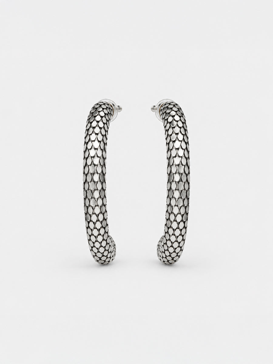 Large Hoop Earrings in Silver