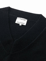 Aleger Cashmere N.84 Cashmere Oversized V-neck in Black